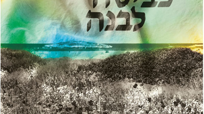 כביסה לבנה