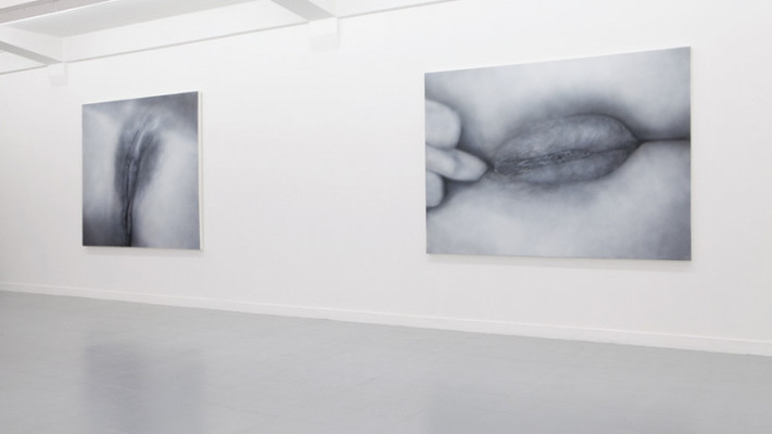 Betty Tompkins - Fuck Paintings, February-March 2012