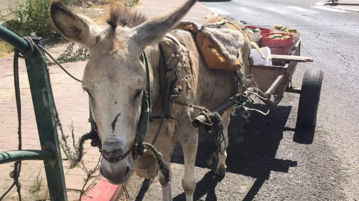 להתחיל מחדש