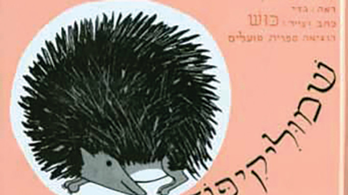 שמוליקיפוד