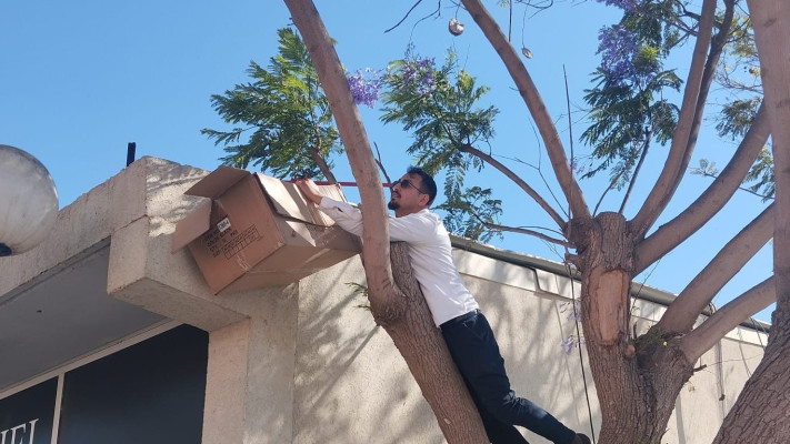 אריאל עידן (צילום: דור חג'ג')