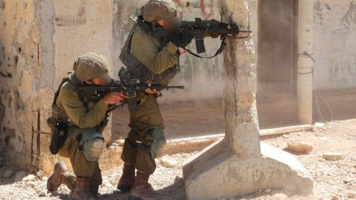 פעילות לוחמי צה''ל