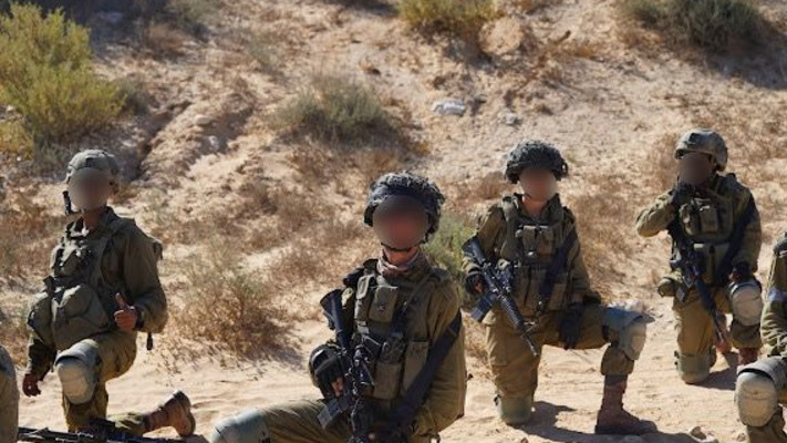 פעילות לוחמי צה''ל
