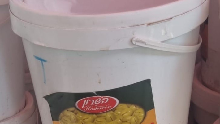 זיתים סנטה