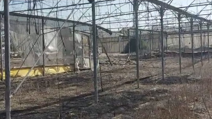 המשק השרוף של שייקה שקד, חקלאי מנתיב העשרה