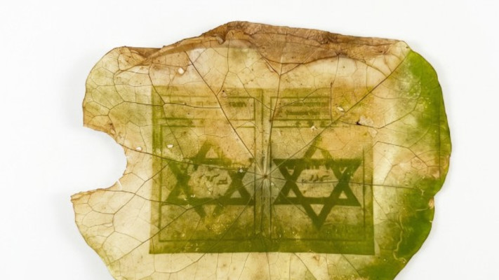 מתוך האוסף הגדול בחרה הילה פיש 35 חפצים שיופיעו בספר שיצרה