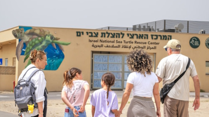 המרכז הארצי להצלת צבי ים