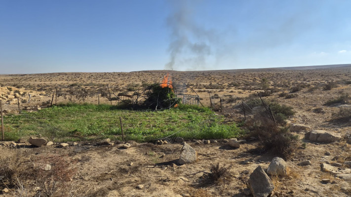  משילות בשטח אש. חממות פיראטיות לגידול בלתי חוקי של קנביס