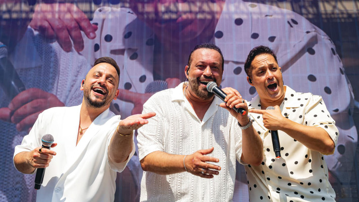 הפרויקט של רביבו