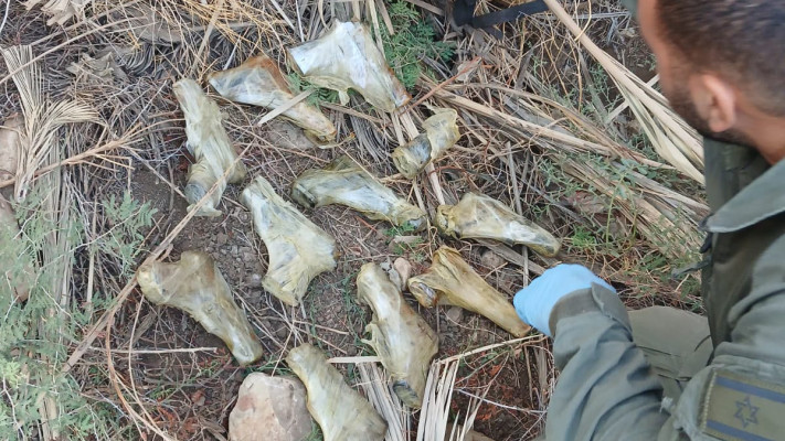 האקדחים שהתגלו בבקעת הירדן