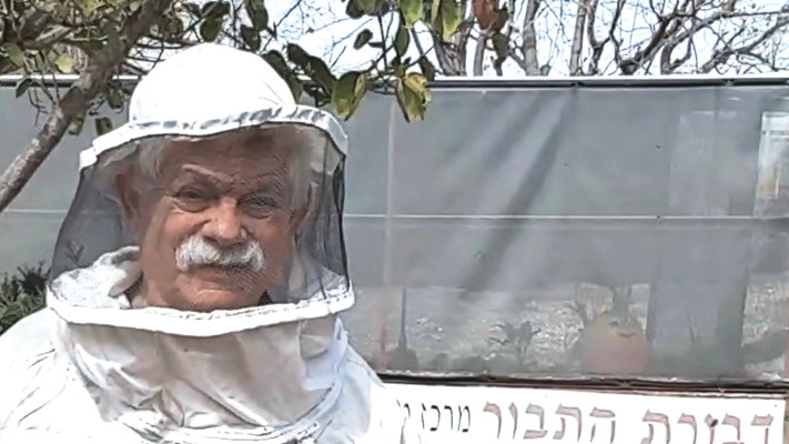 יגאל בן זאב