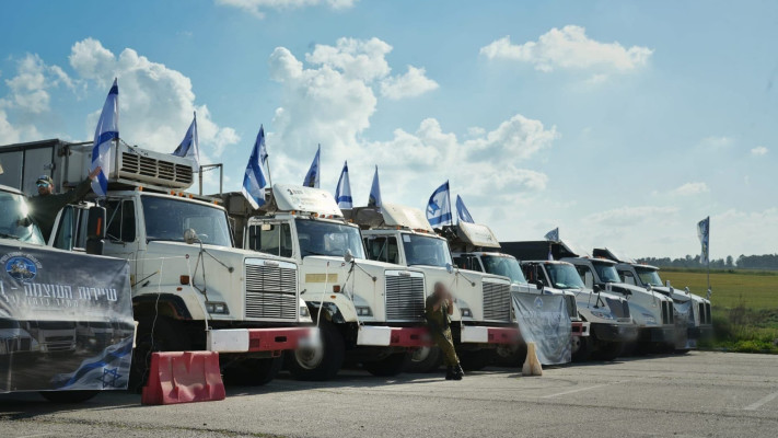 פלוגת המילואימניקים