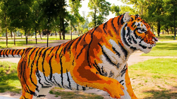 ANIMAL PARADISE, מתחם הסינמה סיטי בירושלים
