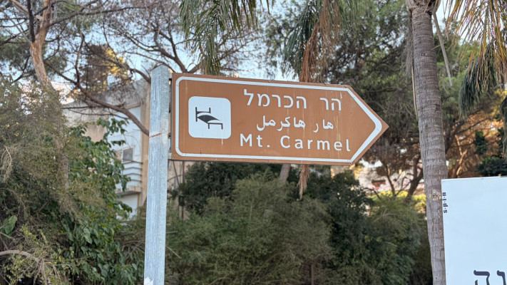 מלון הר הכרמל. הפיל הלבן של חיפה