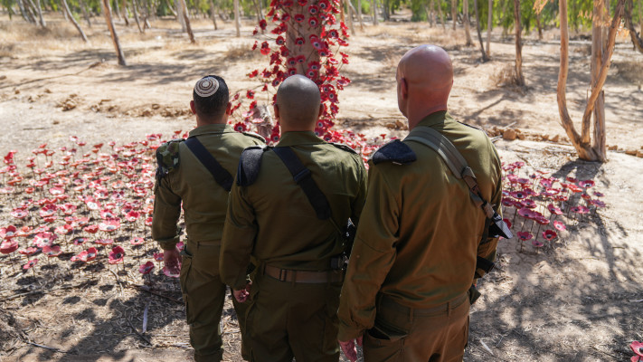 מפקדי מל''י