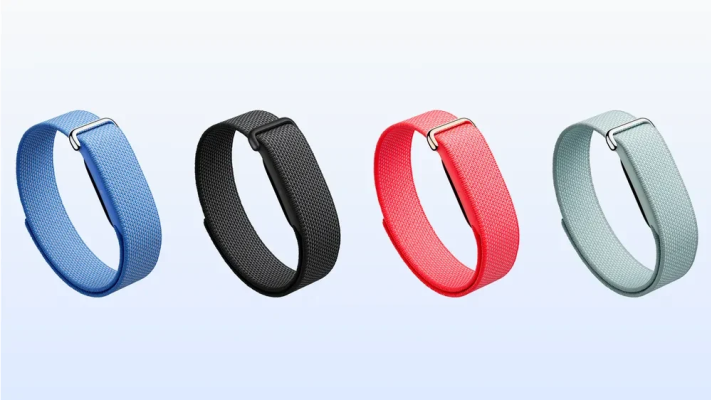 גוגל &ndash; Fitbit Air