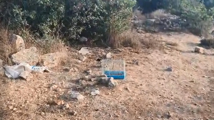 הכלים איתם כלאו חוליות הציד ציפורי שיר למאכל