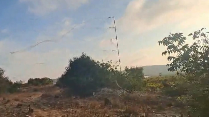 הכלים איתם כלאו חוליות הציד ציפורי שיר למאכל