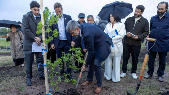 יער ההנצחה לנרצחי מסיבת הנובה Bosque KKL Nova בעיר מנדוזה
