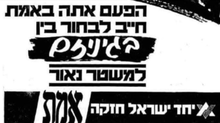 המערך 1981