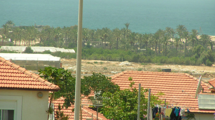 נווה דקלים בגוש קטיף