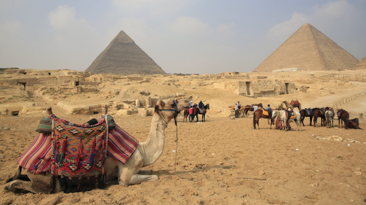 הפירמידות בגיזה (צילום: רויטרס)
