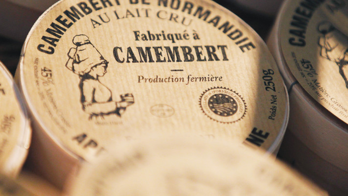 גבינת קממבר 