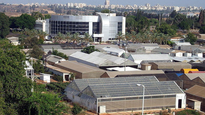 מכון וולקני (צילום: ויקיפדיה,נחלת הכלל)