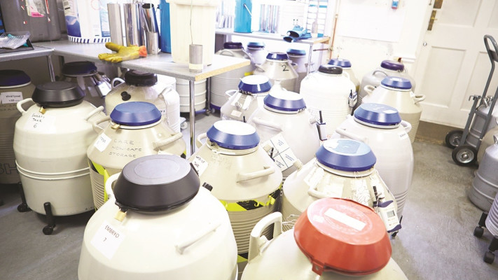 בנק זרע, אילוסטרציה