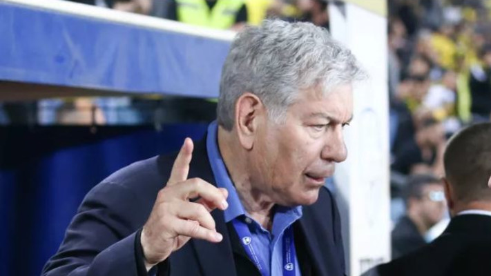 יואב כץ (צילום: דני מרון)