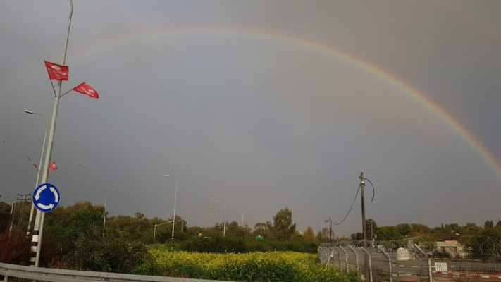 הנגב המערבי