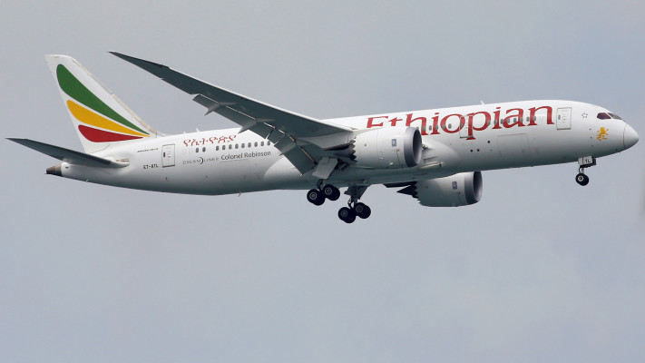 מטוס של חברת ''אתיופיאן איירליינס'' (צילום: רויטרס)