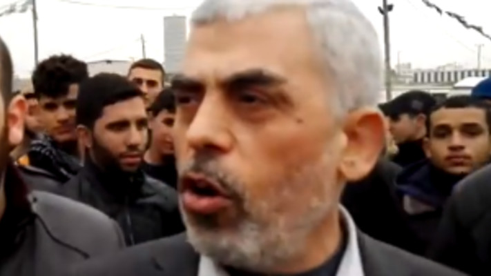 יחיא סינואר