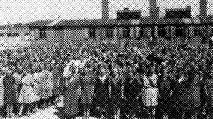 אושוויץ בירקנאו (צילום: יד ושם)