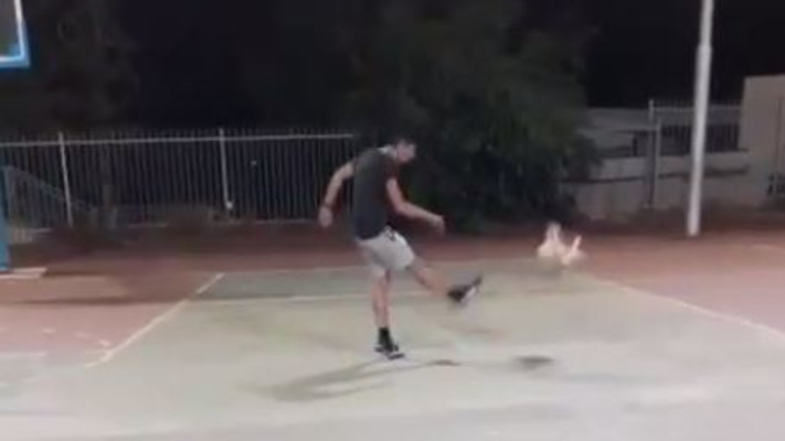 תיעוד ההתעללות בחתול