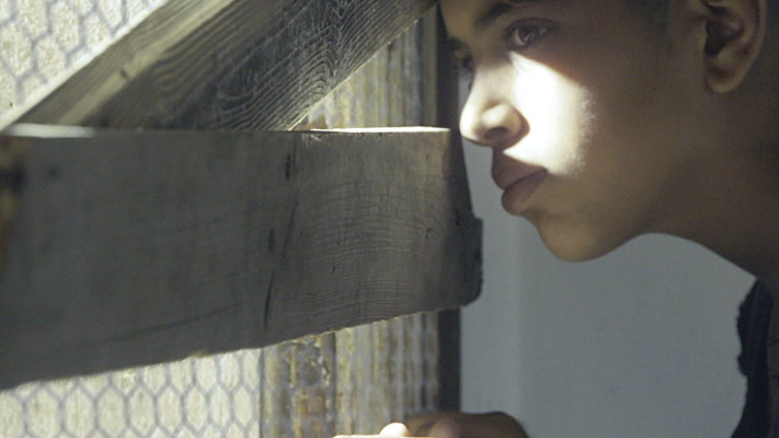 המתים של יפו