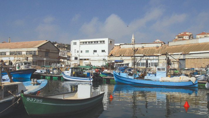 סירות דייגים ביפו