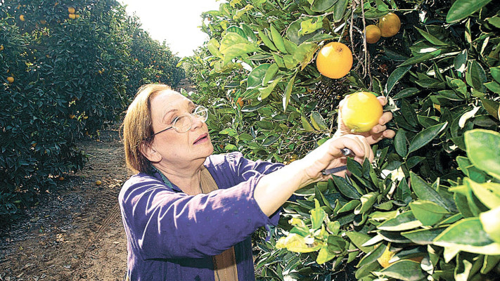 נעמי שמר בשנת 2000