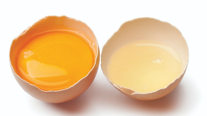 ביצה, אילוסטרציה