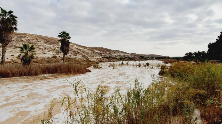 שטפון סמוך לקיבוץ משאבי שדה שבמועצה האזורית רמת הנגב
