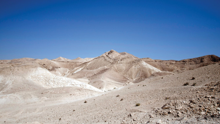 מדבר יהודה (צילום: הדר יהב)