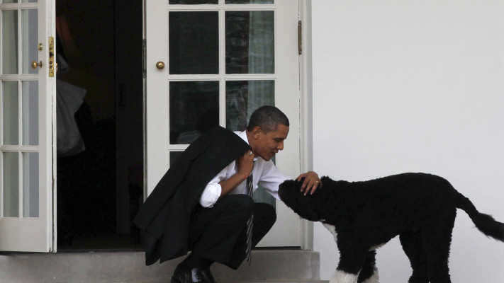 ברק אובמה והכלב בו (צילום: רויטרס)