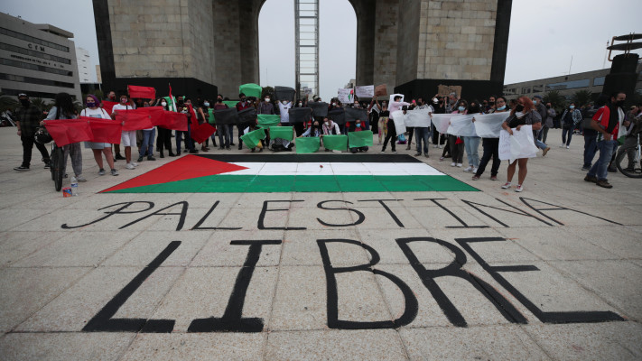 הפגנות בעד החמאס(צילום: REUTERS/Henry Romero)