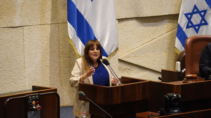קטי שטרית במליאת הכנסת (צילום: דני שם טוב, דוברות הכנסת)