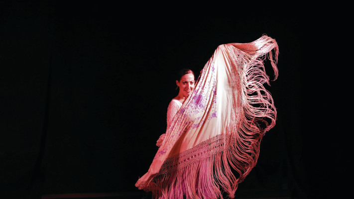 מתוך ''פלמנקולאג'''