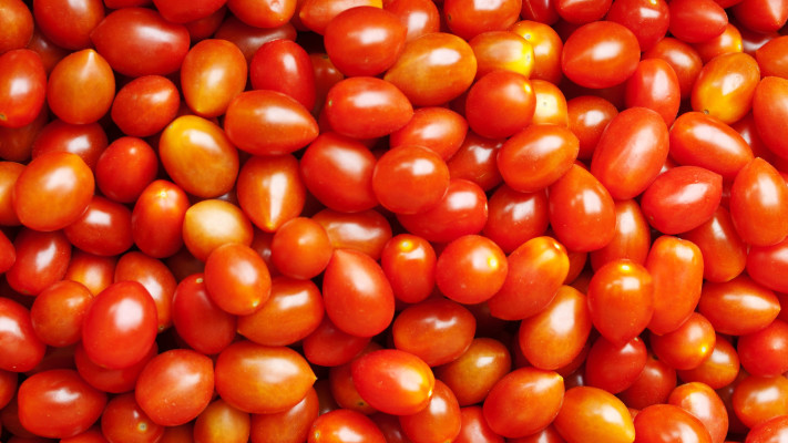 עגבניות שרי