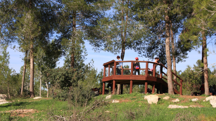 מבקרים ביער בן שמן 