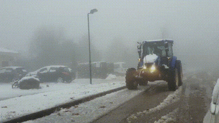 שלג בגולן  (צילום: דוברות המועצה האזורית גולן)