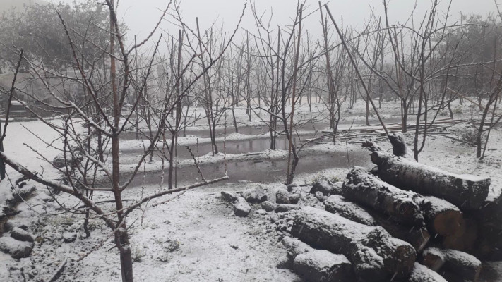 שלג בקיבוץ עין זיוון