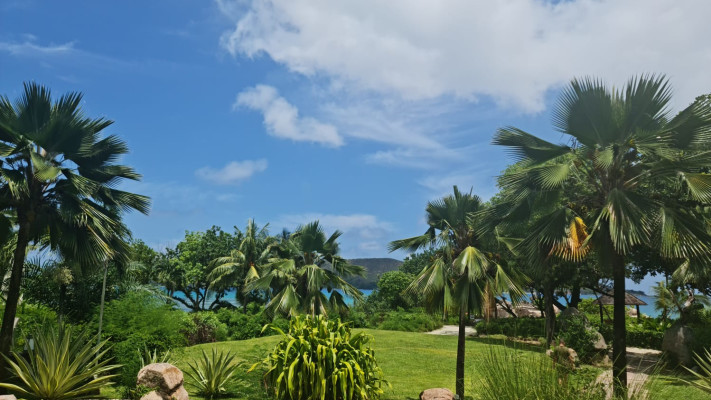מבט על חוף הים ממלון היוקרה  Raffles Seychelles בפרלין, סיישל (צילום: אורן שטרנברג)